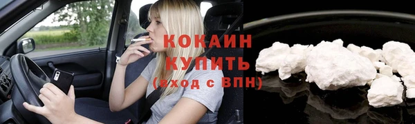 шишки Баксан