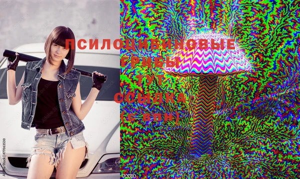 соль ск Балабаново