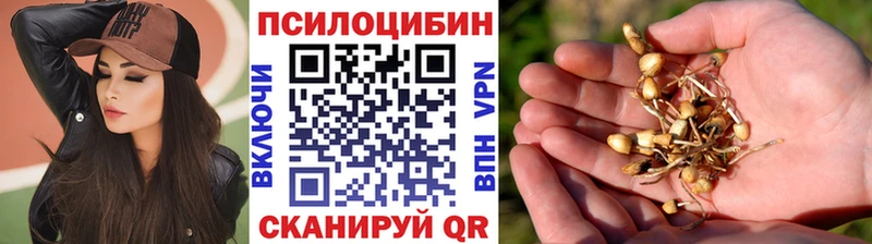 Галлюциногенные грибы мухоморы  MEGA онион  Белинский  даркнет сайт 